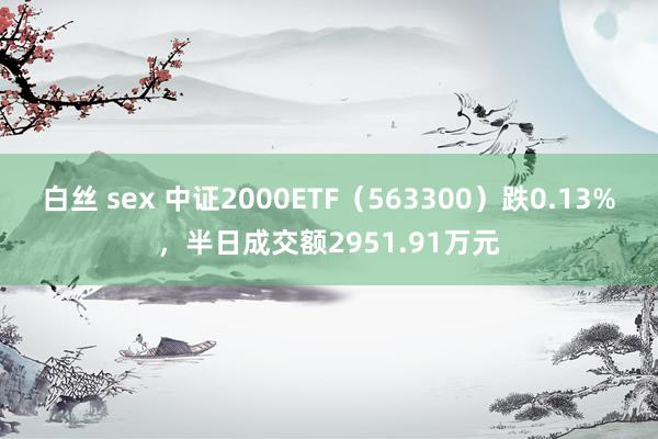 白丝 sex 中证2000ETF（563300）跌0.13%，半日成交额2951.91万元