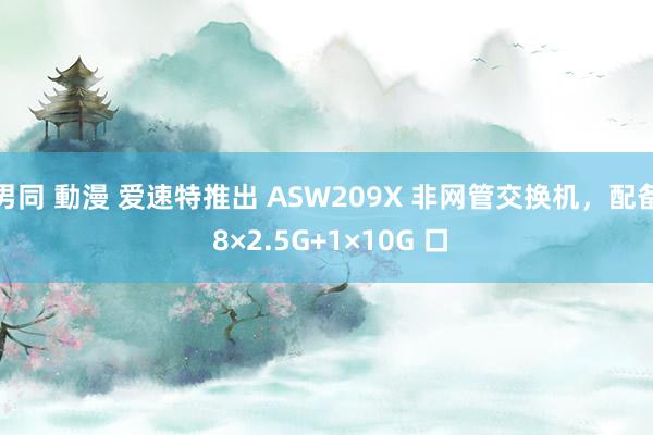 男同 動漫 爱速特推出 ASW209X 非网管交换机，配备 8×2.5G+1×10G 口