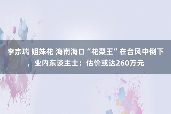 李宗瑞 姐妹花 海南海口“花梨王”在台风中倒下，业内东谈主士：估价或达260万元