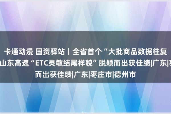 卡通动漫 国资驿站｜全省首个“大批商品数据往复专区”上线；山东高速“ETC灵敏结尾样貌”脱颖而出获佳绩|广东|枣庄市|德州市