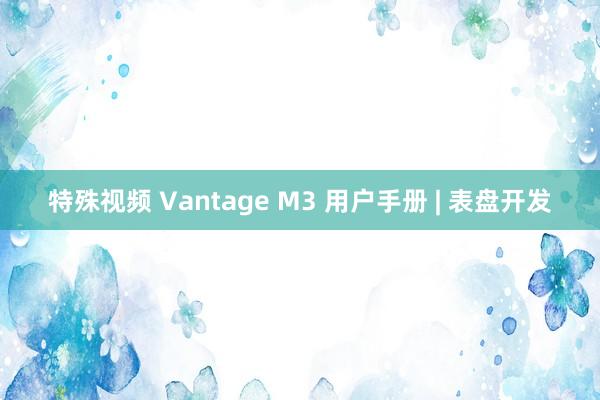 特殊视频 Vantage M3 用户手册 | 表盘开发