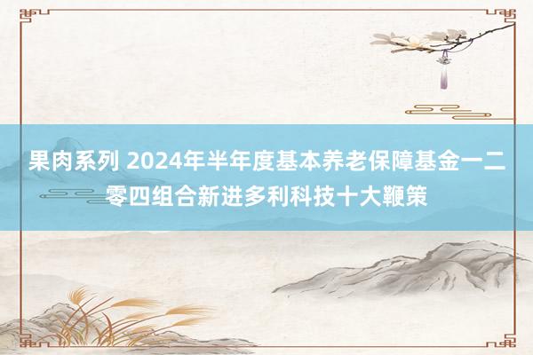 果肉系列 2024年半年度基本养老保障基金一二零四组合新进多利科技十大鞭策